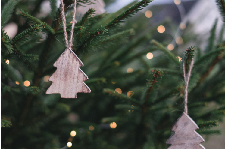 The King of Christmas Trees: Bringing Holiday Joy and Support for Veterans’ Mental Health