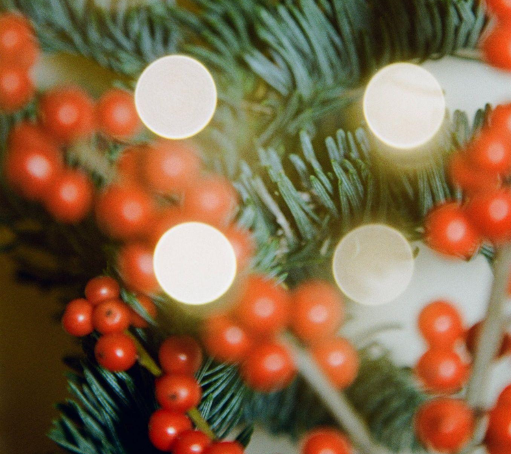 The Magic of Flocked Artificial Christmas Trees